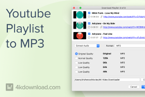 Download Youtube Playlist to Mp3